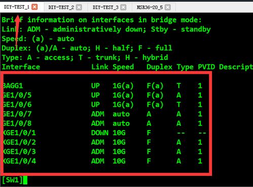 網(wǎng)絡工程師進階篇 解析堆疊分裂