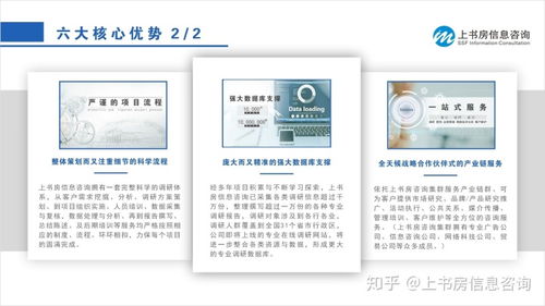 SYB需求分析問(wèn)卷 消費(fèi)者需求研究與數(shù)據(jù)處理服務(wù)